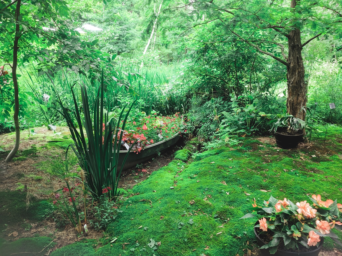 Jardinería